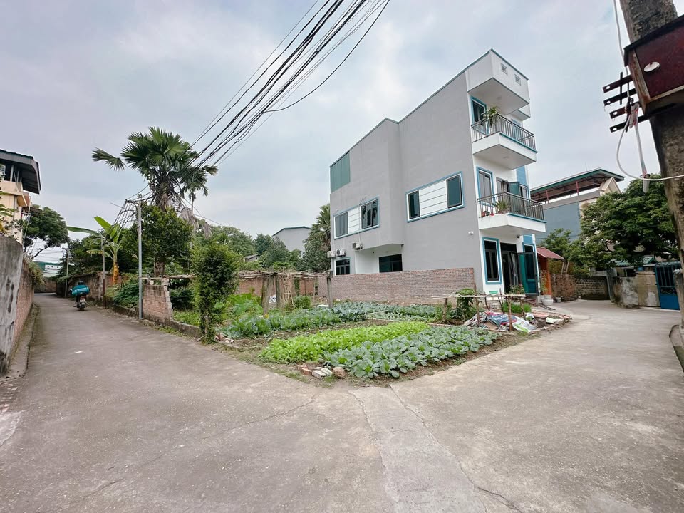 Đất nền 81m² phường Thanh Miếu, Việt Trì giá chỉ 2 tỷ - Đầu tư sinh lời ngay!