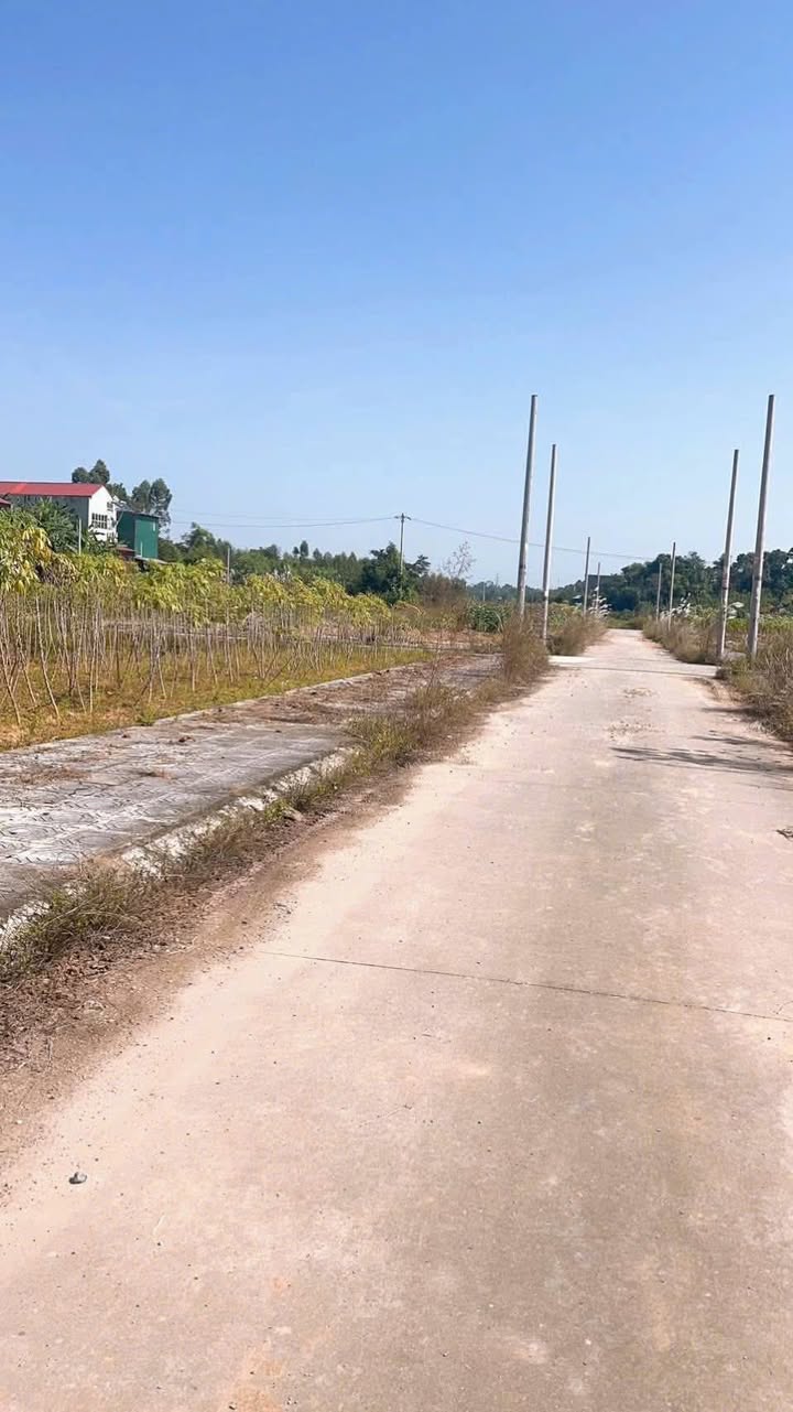 Đất đấu giá khu 12 Tiên Kiên Lâm Thao 100m² giá thỏa thuận - Cơ hội đầu tư hấp dẫn!