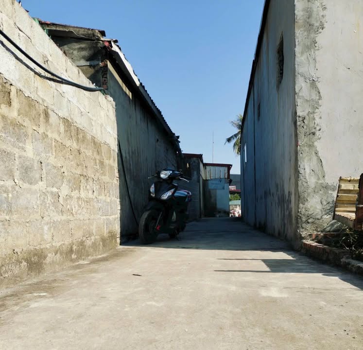 Đất nền Tràng Minh, Kiến An 40m² giá 600 triệu - Cơ hội đầu tư sinh lời!