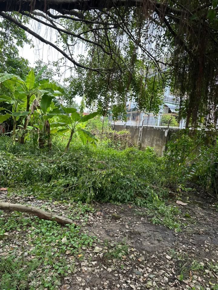 Đất nền mặt tiền đường Bờ Chùa, An Phú Tây, 750m² - Cơ hội đầu tư tuyệt vời!