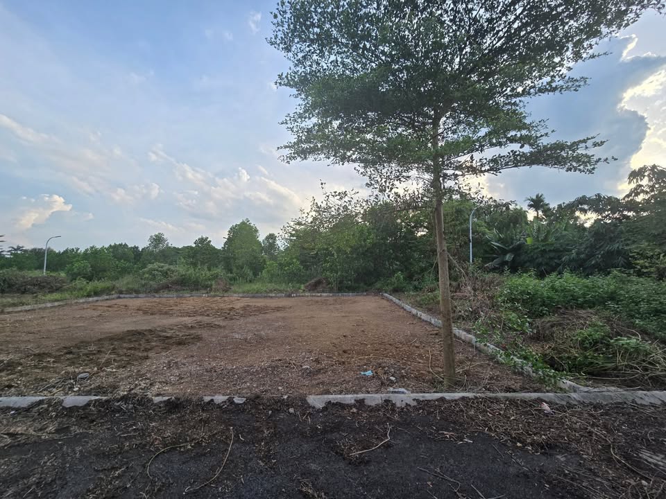 Đất nền Hòa Lạc 63.6m² giá 1.28 tỷ - Mặt tiền rộng, đường thông thoáng!