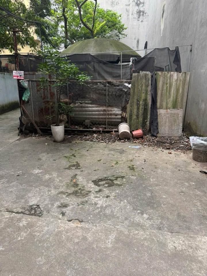 Đất Lô Góc Phúc Đồng Long Biên 54m² giá 6.9 tỷ - Vị trí đẹp, tiện ích đa dạng!