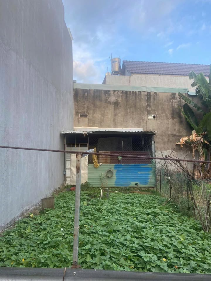 Nhà phố khu phố 8, Long Bình, Biên Hòa 48m² giá 650 triệu - Đất cao ráo, sổ hồng đầy đủ!