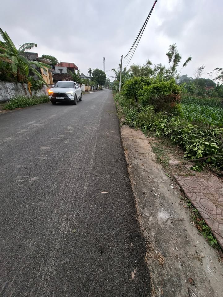 Đất nền mặt tiền 7m nở hậu tại Đông Hoa Lư, 88m² chỉ 1.5 tỷ - Cơ hội vàng không thể bỏ qua!