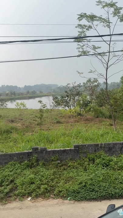 Farm 14.000m² tại Cẩm Lĩnh, Ba Vì chỉ 3 tỷ - Cơ hội đầu tư sinh lời!