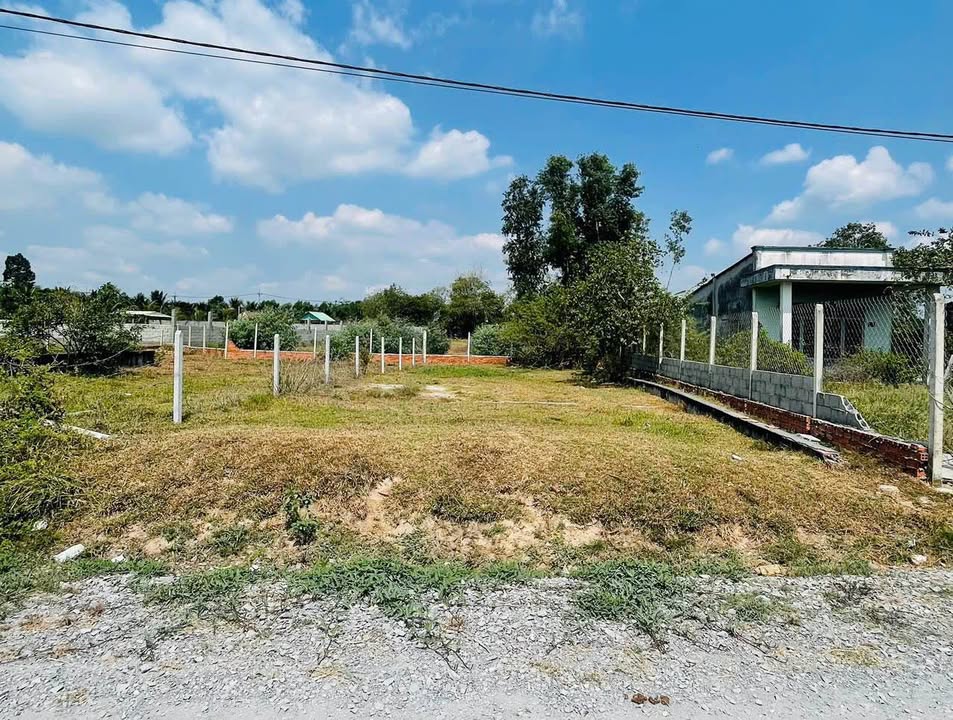 Đất Thổ Cư Nhuận Đức, Củ Chi 315m² giá 2.5 tỷ - Sổ hồng riêng, thương lượng