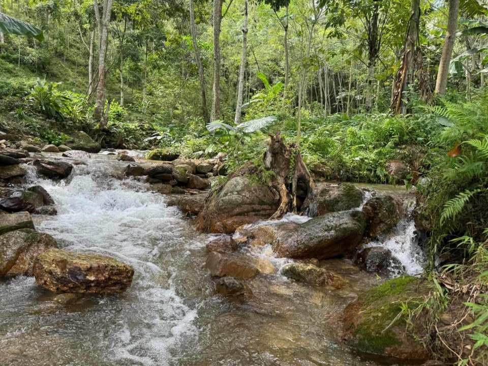 Đất nghỉ dưỡng Tú Lý, Đà Bắc 6000m² giá 3.8 tỷ - Tiềm năng đầu tư lớn!