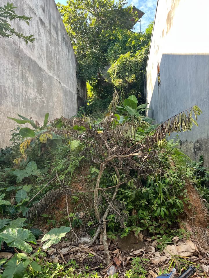 Đất nền Ngọc Xuân 119m² giá 800 triệu - Đầu tư lâu dài, không lo ngập lụt!