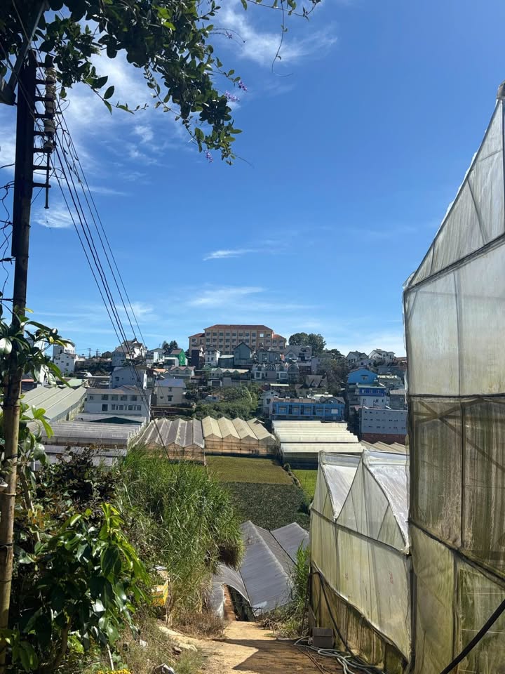 Đất nền đường Cao Thắng, phường Lang Biang, Đà Lạt - Giá 7 tỷ - Sổ đỏ chính chủ!