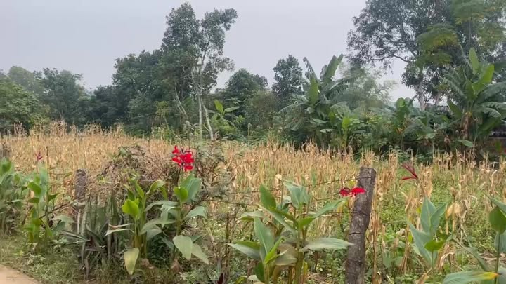 Đất nền Phú Long Ninh Bình 702m² - Cơ hội đầu tư tuyệt vời!