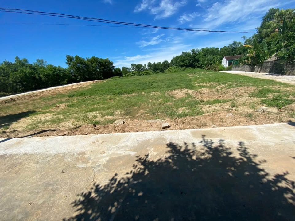Đất nền thôn Tân Đại, xã Thăng Bình, huyện Nông Cống, Thanh Hóa - Giá chỉ từ 100 triệu/lô