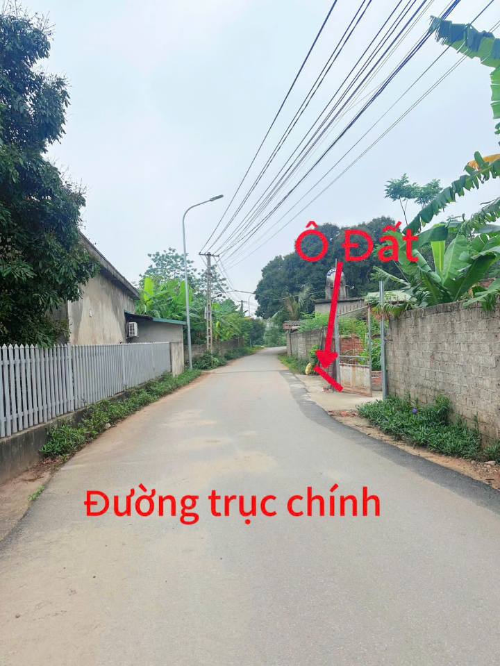 Đất thổ cư 96.8m² tại thôn Hương Ngọc, Bình Xuyên, Vĩnh Phúc - Giá chỉ 1 tỷ!