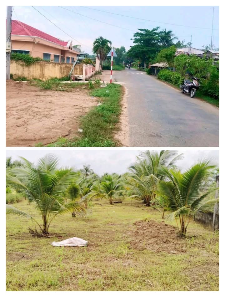 Đất mặt tiền Giồng Trường - 3000m² chỉ 3.1 tỷ - Đầu tư sinh lời ngay!