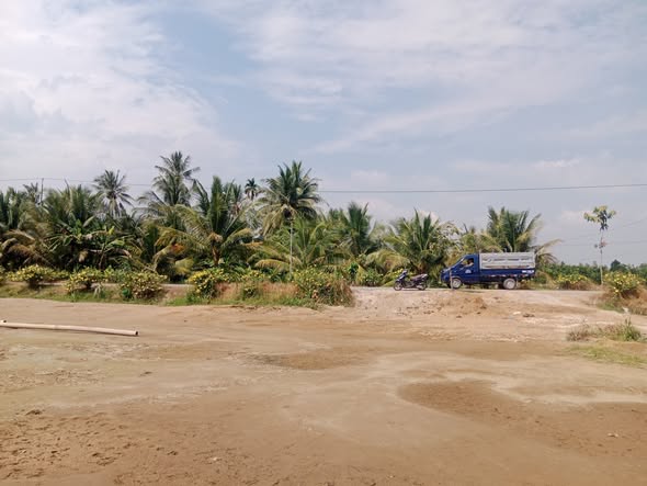 Đất nền Tân Long Hội 135m² giá 320 triệu - Cơ hội đầu tư tuyệt vời!