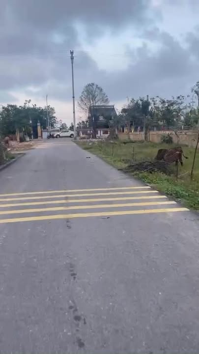 Đất thổ cư thôn Hồng Mỹ, xã Xuân Mỹ, 138m² chỉ 1.1 tỷ - Cơ hội đầu tư hấp dẫn!