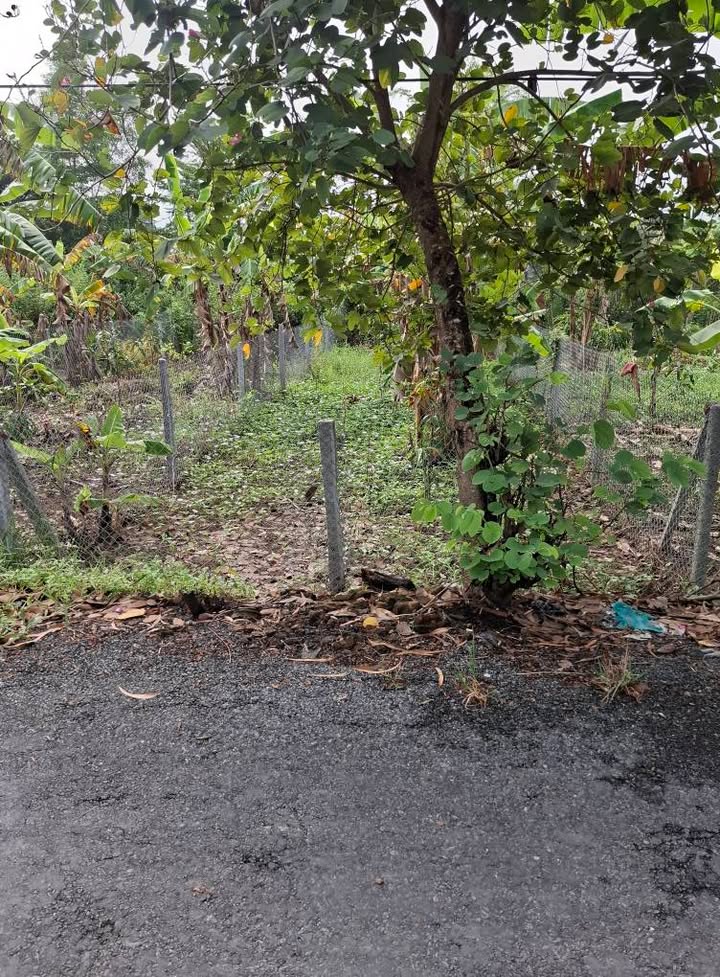 Đất nền Mỹ Trà, Cao Lãnh 115m² giá 750 triệu - Bán gấp chính chủ!