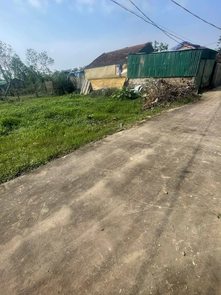 Đất nền Kim Liên, Nam Đàn 118,3m² - Đầu tư sinh lời lý tưởng!