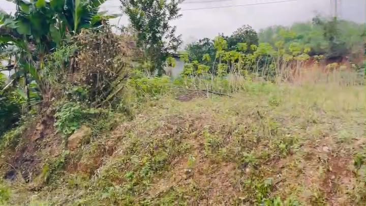 Đất nền xã Nam Thái 300m² giá 1 tỷ - Cơ hội đầu tư tuyệt vời!