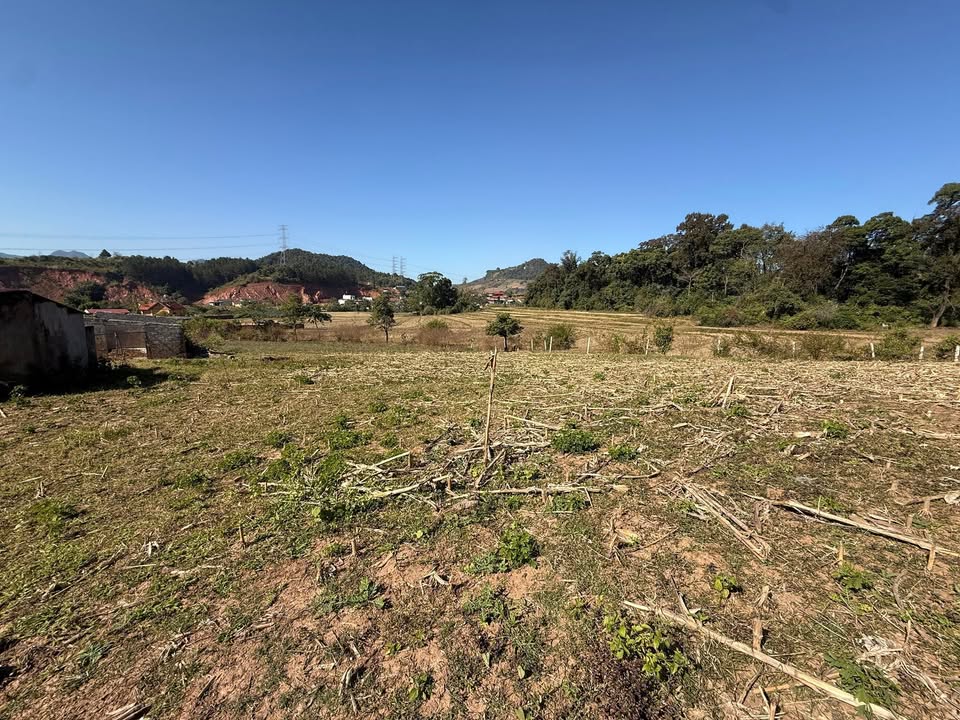 Đất nghỉ dưỡng Mộc Châu 7000m² giá thỏa thuận - View đồng lúa đẹp nhất!