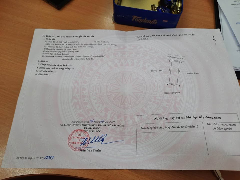 Lô đất An Hải, An Dương 60m² giá 765 triệu - Cơ hội đầu tư tuyệt vời!