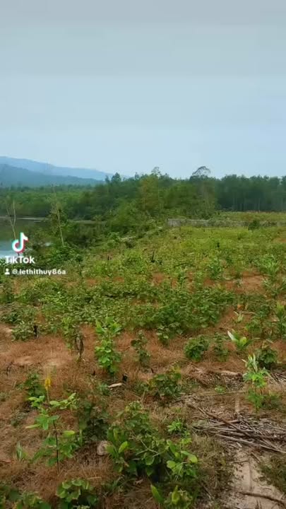 Đất nền Nguyên Bình, Nghi Sơn 2500m² giá 3 tỷ - View hồ tuyệt đẹp!