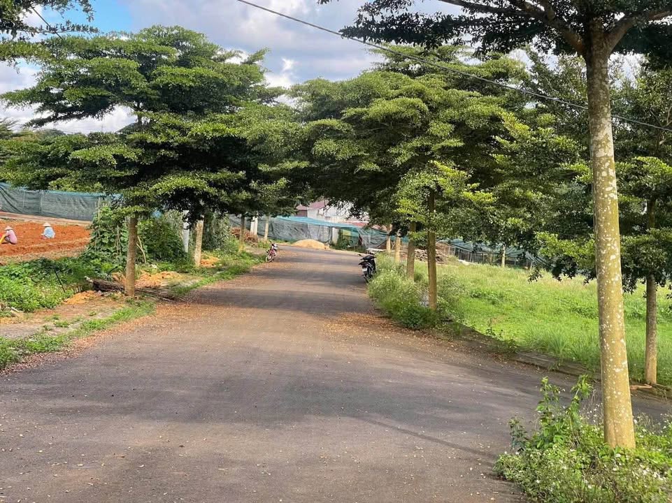 Đất thổ cư Lộc An, Bảo Lâm, Lâm Đồng 115m² - Chỉ 800 triệu - Sổ hồng chính chủ!