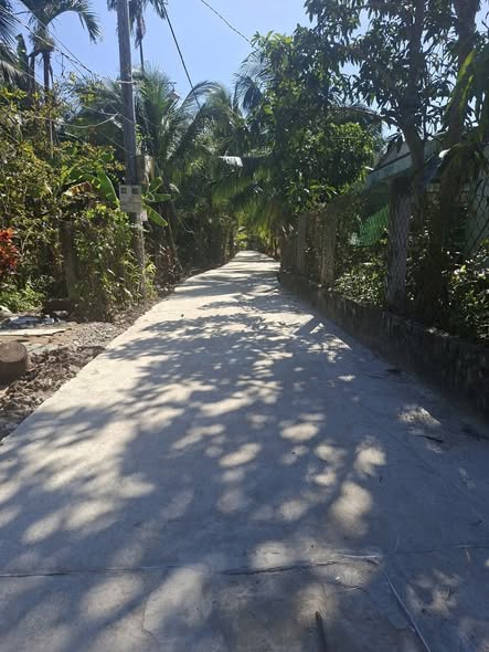 Đất thổ cư Long Hưng, Mỹ Tho 100m² chỉ 450 triệu - Cơ hội đầu tư tuyệt vời!