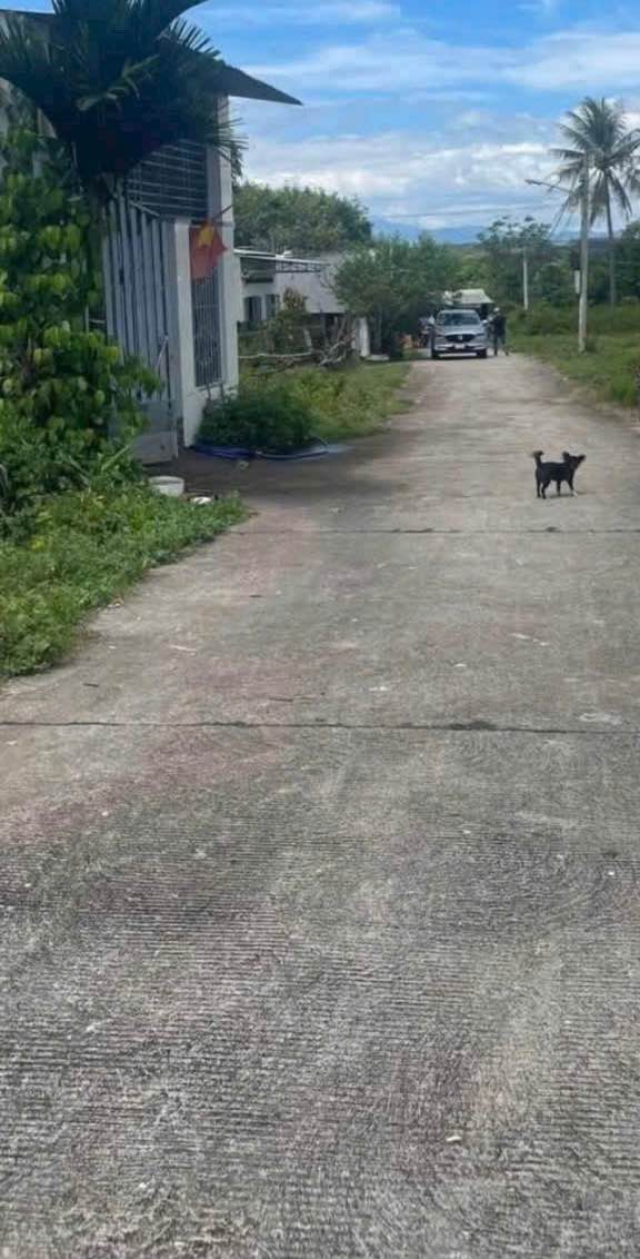 Đất nền thổ cư 140m² tại thôn 9, Đăk Cấm - Giá thỏa thuận hấp dẫn!