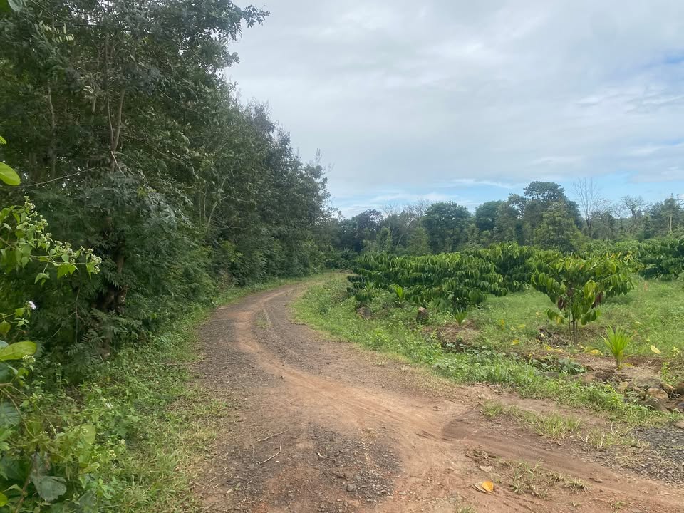 Đất nền 2 héc Ea Kao, Buôn Ma Thuột 3.6 tỷ - Đầu tư sinh lời hấp dẫn!