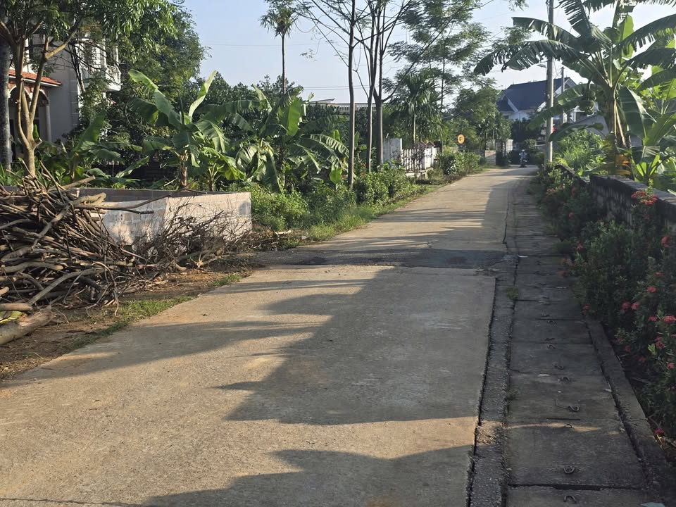 Đất Thổ Cư Yên Bài, Ba Vì 656m² giá 4 tỷ - Đầu tư sinh lời ngay sát Hà Nội!