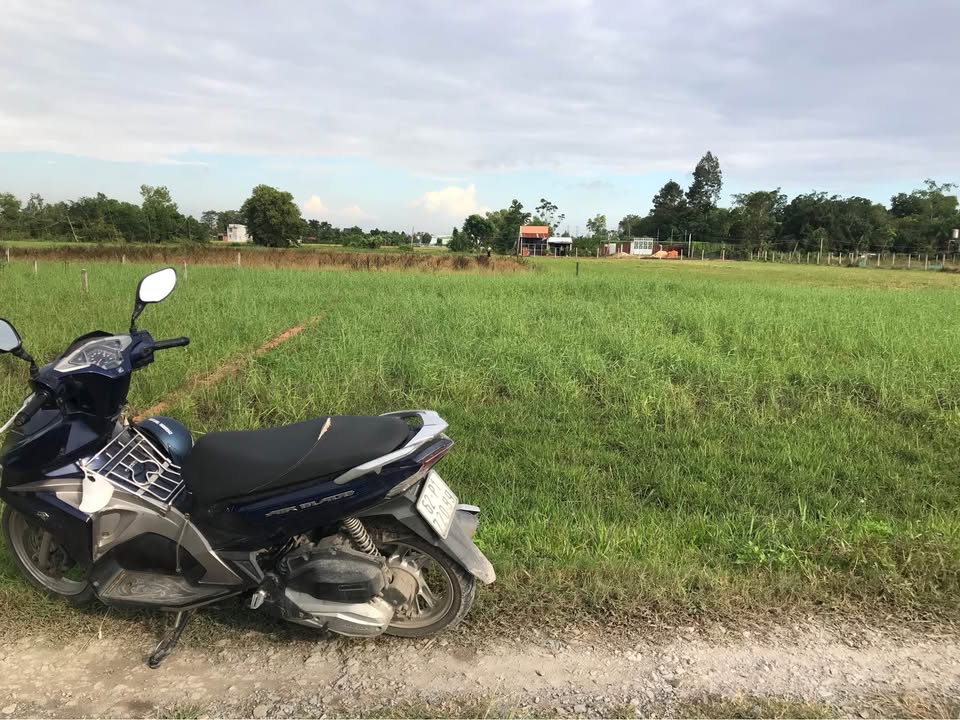 Đất thổ cư 150m² Mỹ Hạnh Nam giá 1 tỷ - Sổ đỏ chính chủ!