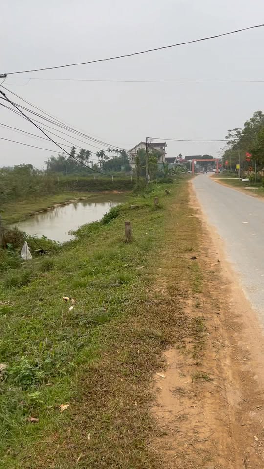 Đất thổ cư Thanh Nho 230m² giá 1 tỷ - Cơ hội đầu tư sinh lời!