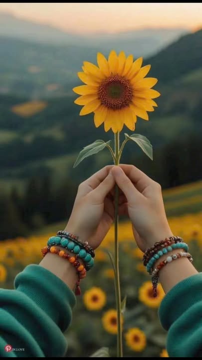 Nhà mặt tiền Nguyễn Công Trứ, Bình Thạnh 46.5m² giá 12.9 tỷ - Đầu tư sinh lời ngay!