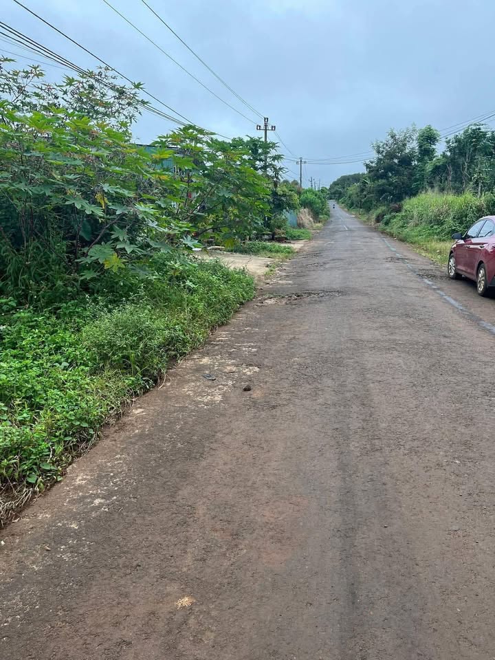 Đất thổ cư Ea Drăng 320m² giá 1.55 tỷ - Bán gấp chính chủ!