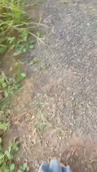 Đất nền Ea Sol 350m² giá 840 triệu - Tiềm năng sinh lời cao!