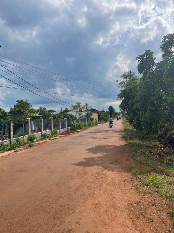 Đất nền mặt tiền đường Liên Tĩnh, Ea H'leo 100m² giá 490 triệu - Cơ hội đầu tư hiếm có!