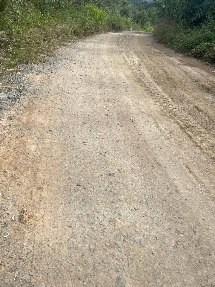 Đất nông nghiệp Ea Ral 25.200m² giá 279 triệu - Kinh doanh cà phê ngay!