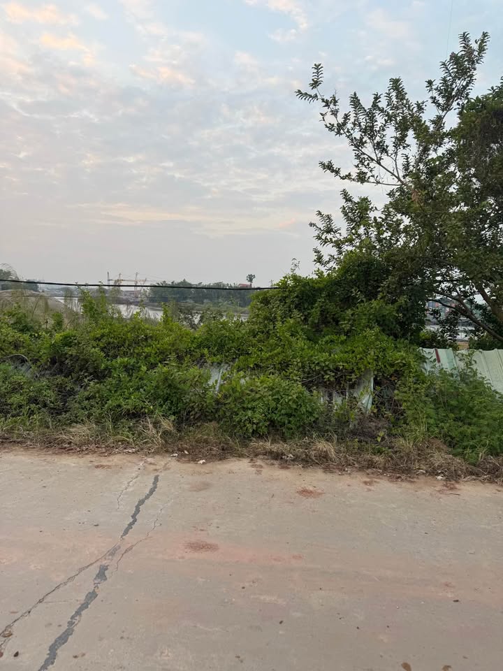 Đất nền khu phố 11 Hải Xuân 100m² giá 1.2 tỷ - Tiềm năng sinh lời cao!