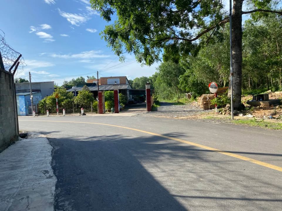 Đất nền 8000m² tại Tam Phước, Biên Hòa - Giá chỉ 1.5 triệu/m², thương lượng chính chủ!