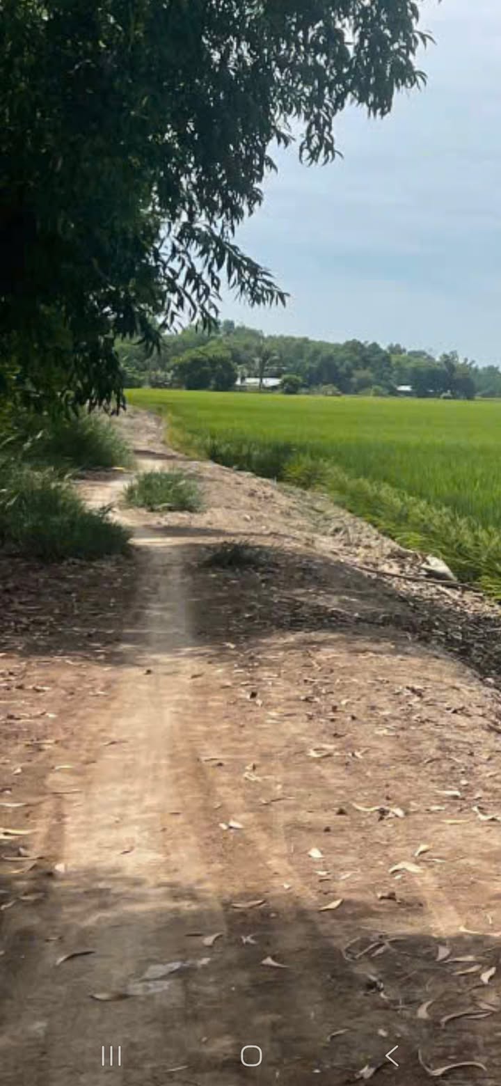 Đất nền Châu Thành, Tây Ninh 3400m² giá 150 triệu - Cơ hội đầu tư sinh lời!