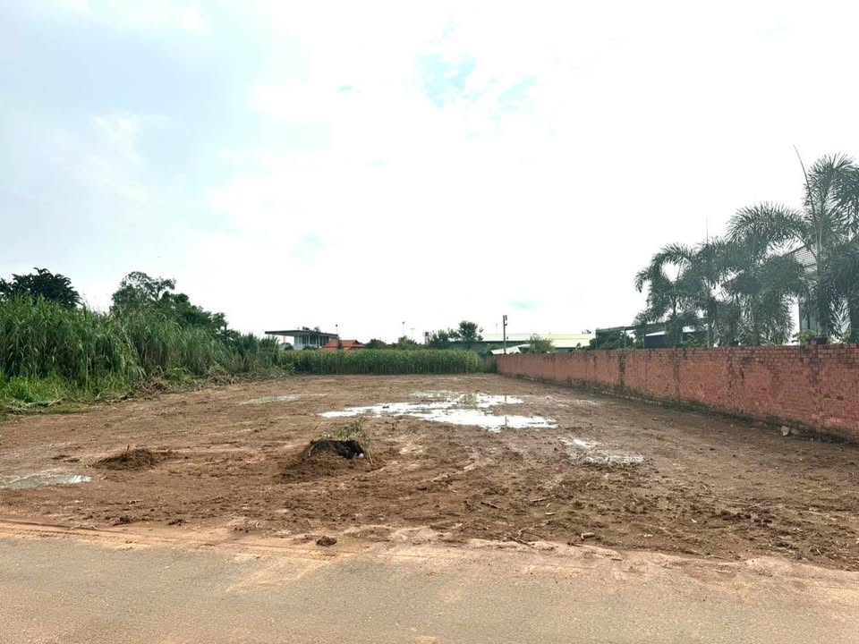 Đất nền 2 sào Phường Tam Long, Bà Rịa - Vũng Tàu 2000m² giá 9.5 tỷ - Tiềm năng đầu tư lớn!