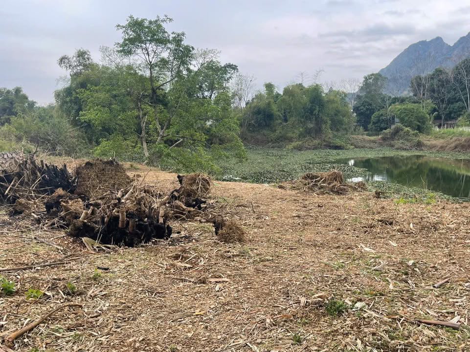 Đất nền Liên Sơn Hòa Bình 3000m² giá chỉ 3 tỷ - Đầu nguồn hồ tuyệt đẹp!