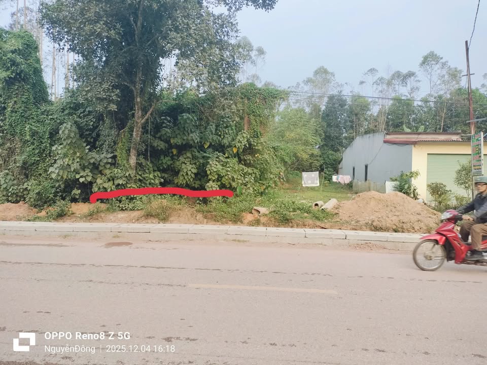 Đất thổ cư 122m² xã Tam Tiến, Yên Thế - Kinh doanh ngay, giá chỉ 1.3 tỷ!