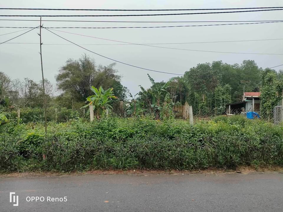 Đất nền Vĩnh Chấp 450m² giá thỏa thuận - Mặt tiền nhựa siêu đẹp!