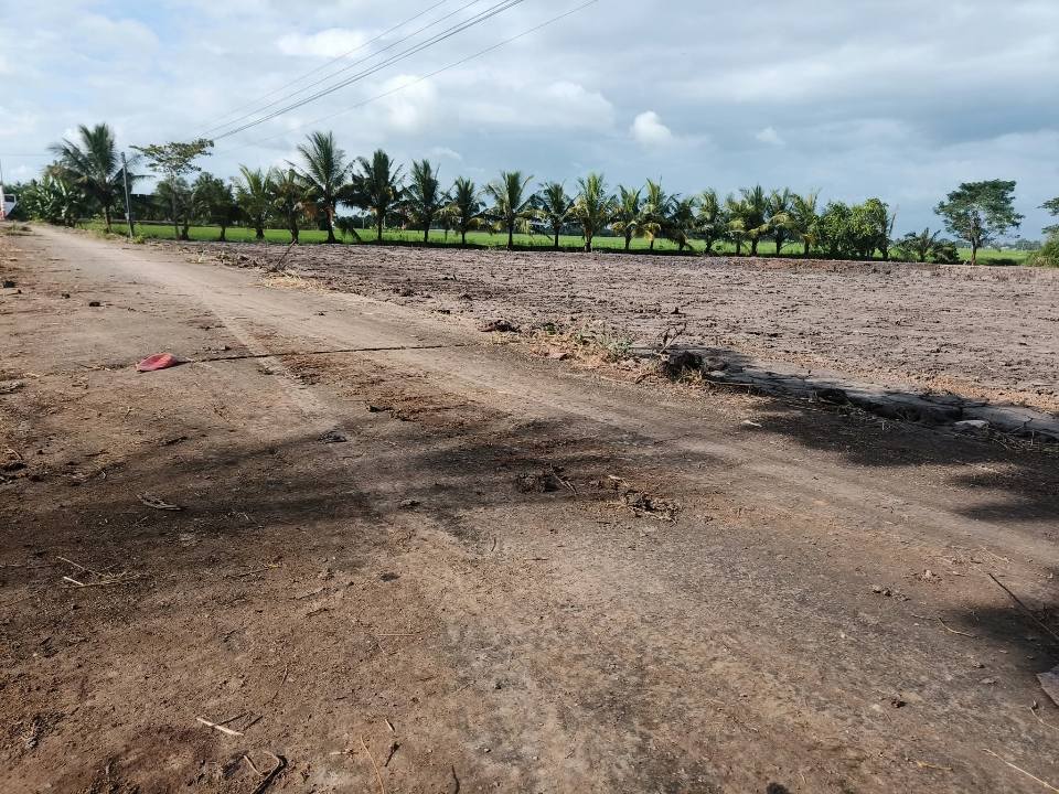 Đất nền mặt tiền lộ ô tô tại ấp Bưng Chông, 175m² giá chỉ 180 triệu - Sổ hồng trao tay!