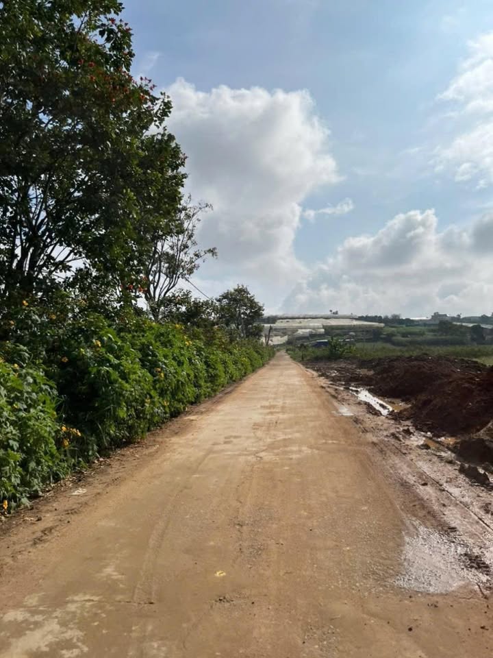 Đất nền Quảng Lập 1020m² giá 1.3 tỷ - Đầu tư an toàn, vị trí đẹp!