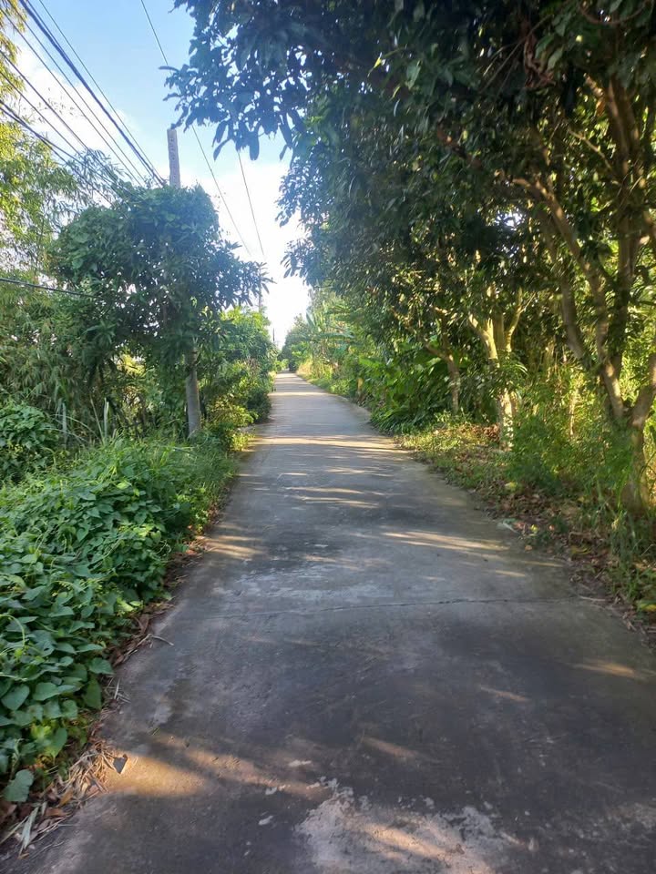 Đất nền mặt tiền đường Đal, xã Nhơn Mỹ, An Giang 185m² giá 270 triệu - Đầu tư sinh lời ngay!