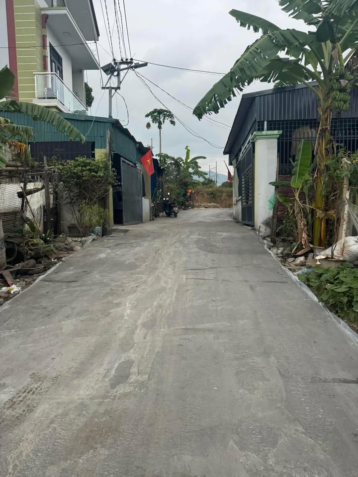 Đất nền chính chủ tại khu 9 Thanh Sơn, 84m² giá 700 triệu - Cơ hội đầu tư hấp dẫn!