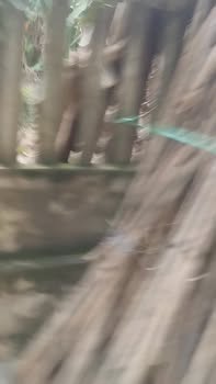 Đất nền tại thị trấn Ái Nghĩa, Quảng Nam 125m² - Cơ hội đầu tư hấp dẫn!