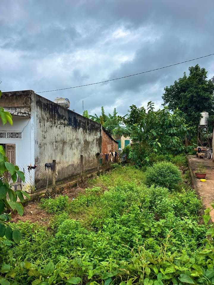 Mặt tiền FrontHouse Nơ Trang Long, Phước An 180m² giá 2.95 tỷ - Vị trí kinh doanh lý tưởng!